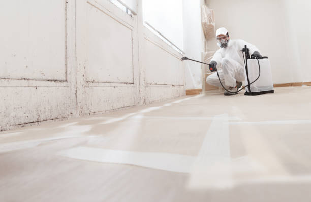 24/7 Emergency Basement Mold Removal experts in Line Lexington, PA